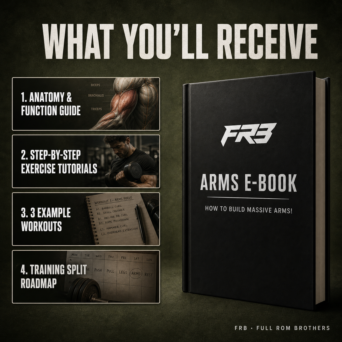 FRB Massive Arms Ebook